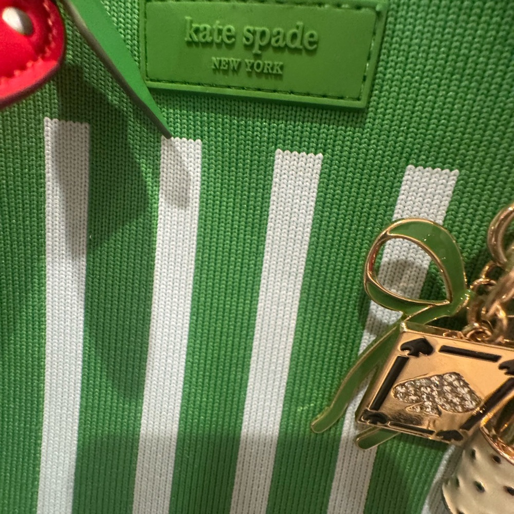 Kate Spade/ Target collab Green and light blue Striped Tote+ Charms - Picture 5 of 13